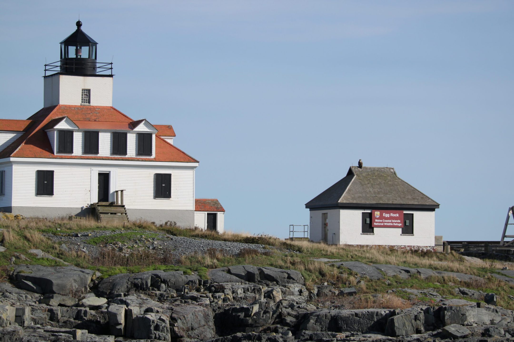 Lighthouse seen from the Bar Harbor lighthouse cruise